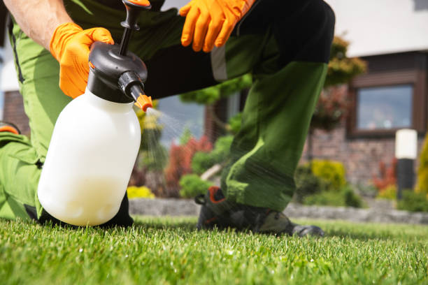 Best Affordable Pest Control Services  in Madison, IN