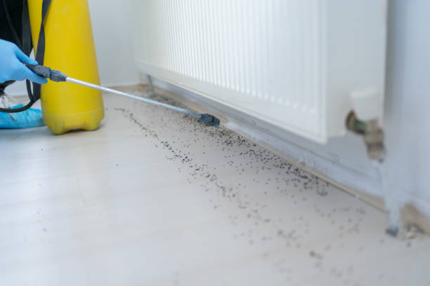 Best Commercial Pest Control Services  in Madison, IN