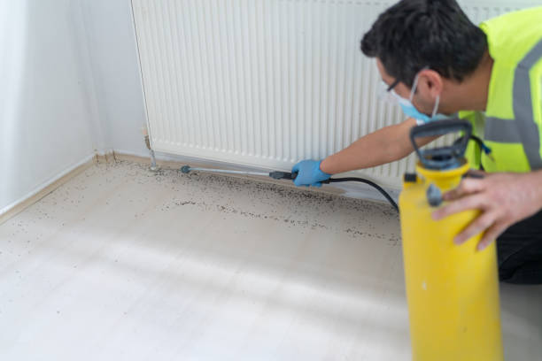 Best Flea Control Services  in Madison, IN