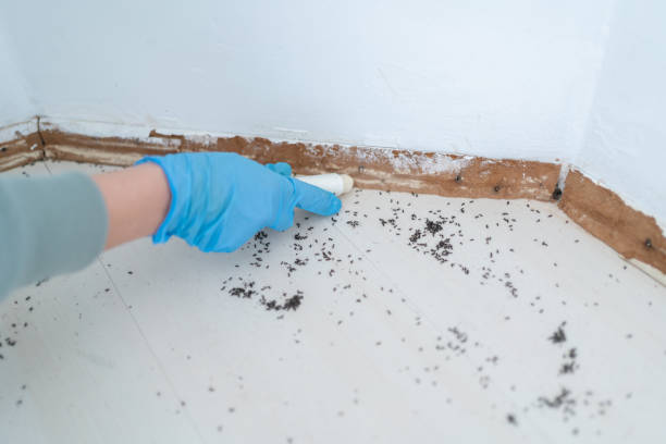 Best Ant Control Services  in Madison, IN