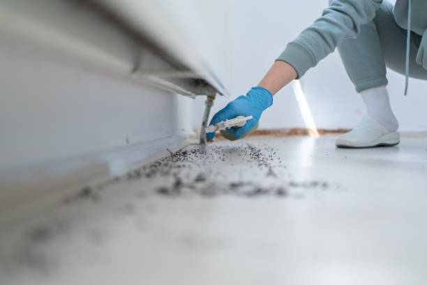 Best Pest Inspection Near Me  in Madison, IN