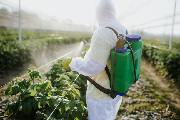 Best Emergency Pest Control  in Madison, IN